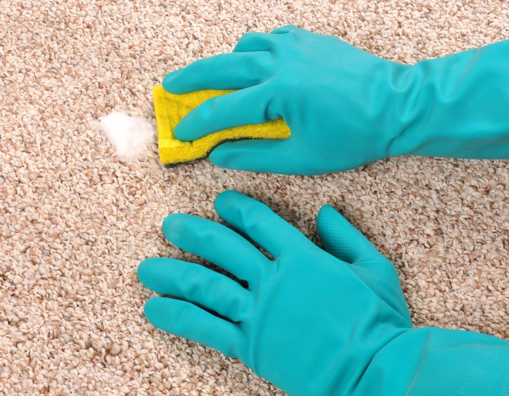 Як правильно чистити килим?