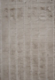 Високоворсні килими Estera Cotton Block beige