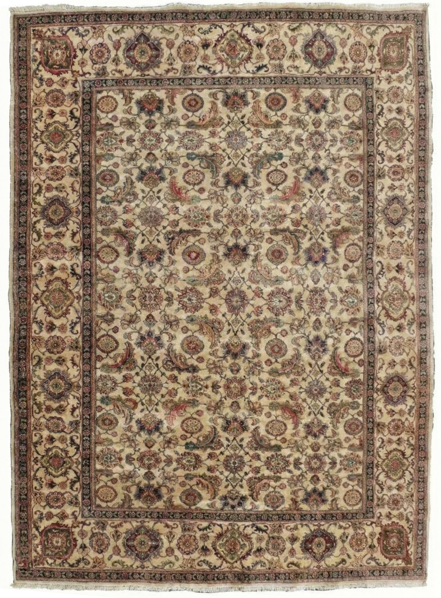 Вовняний килим ручної роботи Килим ручної роботи Jaipur wool 2380