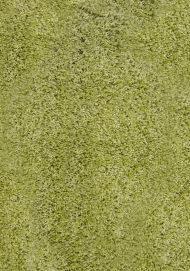 Зелений килим з довгим ворсом loca 6365a l-green