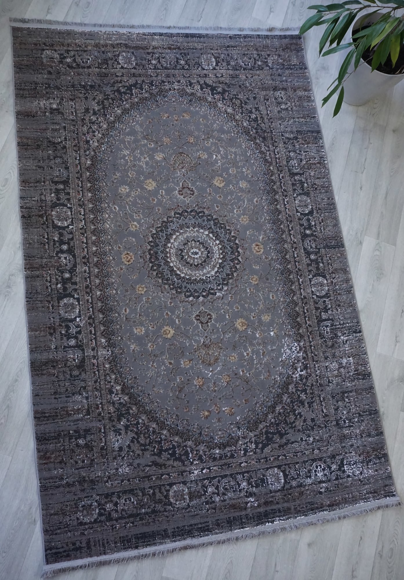 Salsa e909a visone-d.grey