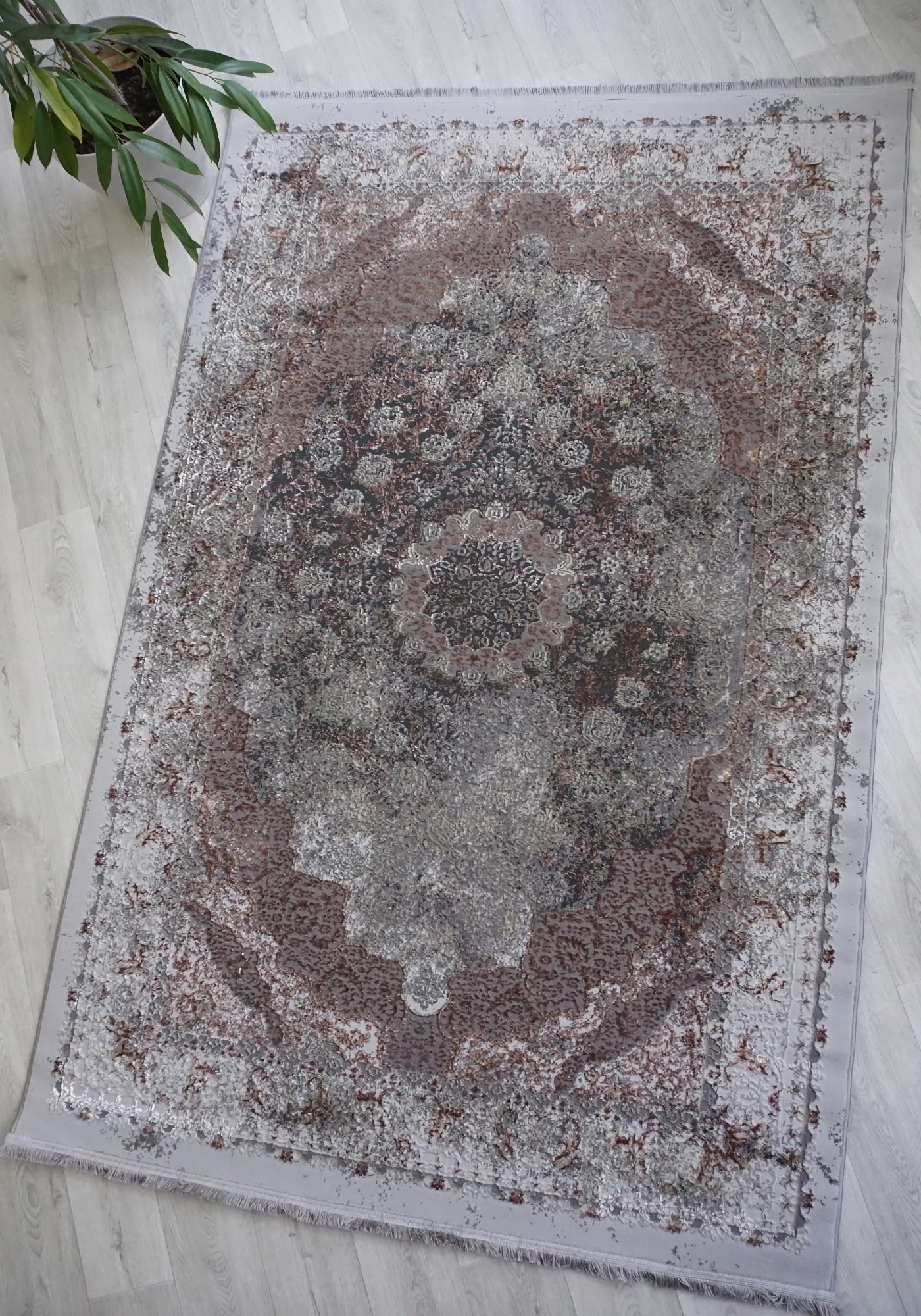 Salsa f069a visone-l.grey