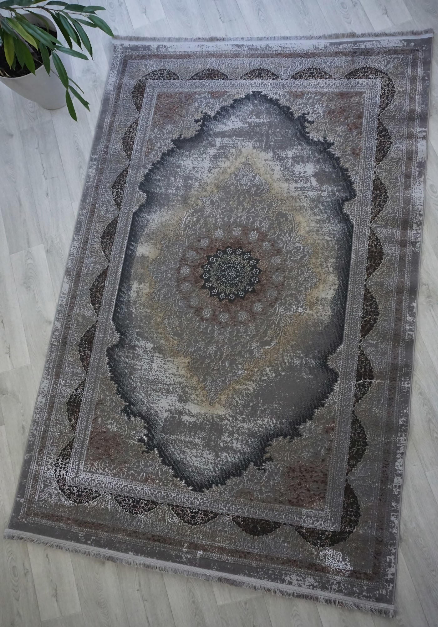 Синтетичні килими Salsa e909a visone-d.grey