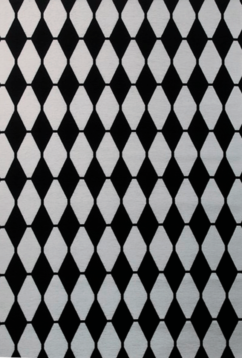 Безворсовий килим Almina 126702 black-white